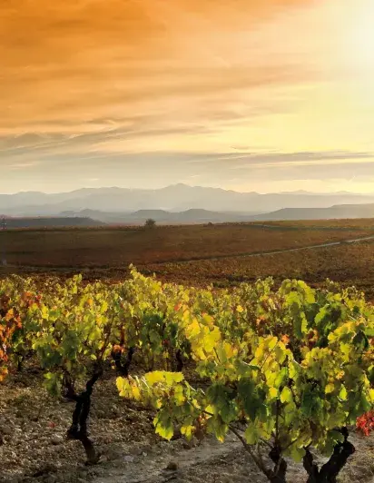 La verdad gusta a todos